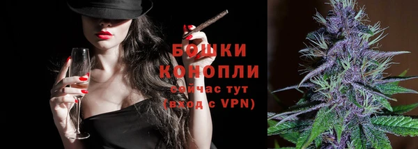 PSILOCYBIN Баксан