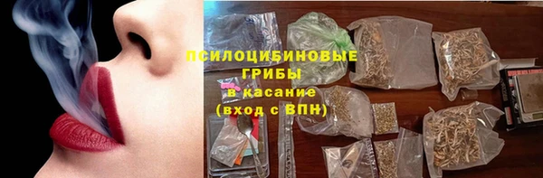 прущий лед Аркадак