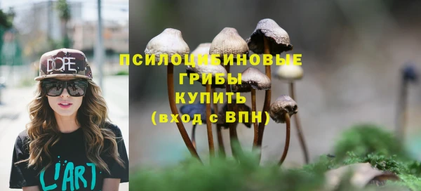 mdpv Армянск