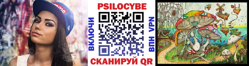 Псилоцибиновые грибы мухоморы  даркнет сайт  маркетплейс состав  Озёры 